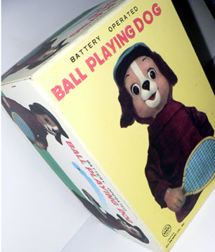 BALL PLAYING DOG